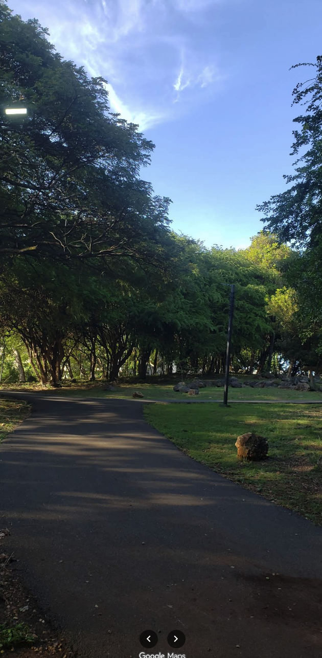 Tree-lined walking path in Parque Las Praderas